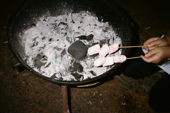 Marshmallows Toast Over Fire at Outdoor Gathering With Friends