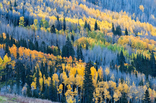 autumn landscape in the mountains