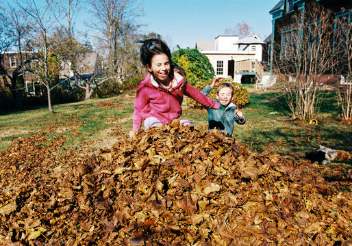 Children in Motion as they Jump into a Pile of Leaves in Fal