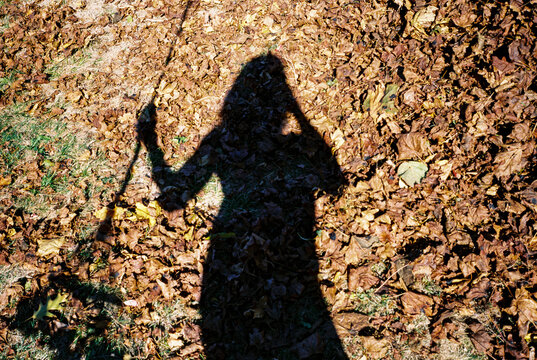 UGC Shadow Selfie of Woman with Rake and Autumn Leaves