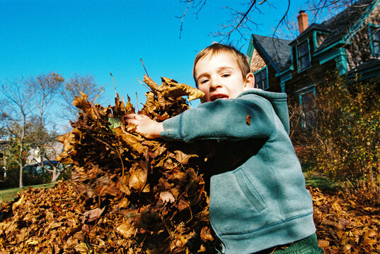 Funny Child Throws Autumn Leaves Directly at Camera