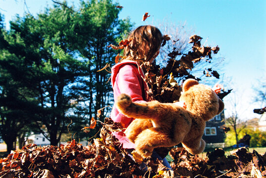 Child Playing In Pile of Leaves in Autumn with Stuffed Tiger