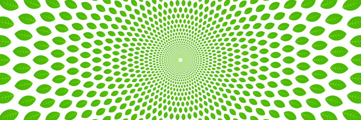 horizontal beautiful spin green leaves on white for background and design.