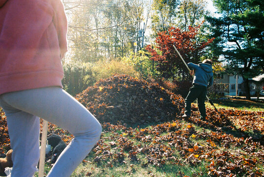 Two Kids Helping with Chore of Raking Leaves in Backyard