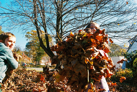 Kids Playing in a Pile of Leaves in Autumn
