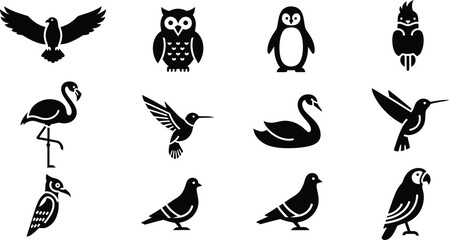 Collection of twelve black bird silhouettes including eagle owl penguin flamingo and swan on white background © MohammadSakhawat