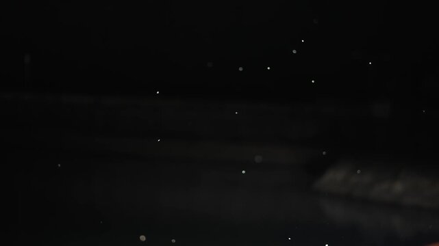 Moths and mosquitos are flying in to swarm at night, slow motion