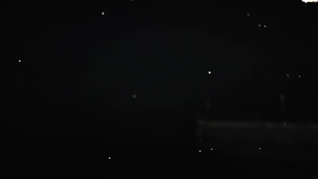 Many insects swarming street light at Night