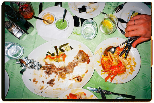 Aftermath of a Feast