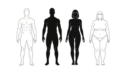 Illustration of diverse human body types and silhouettes, representing different physiques and forms