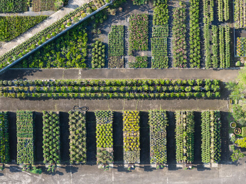 Aerial View of Geometric Plant Nursery and Garden Rows