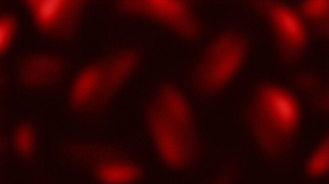 An abstract background with a blurred red lighting effect on a black background, creating a dramatic and mysterious look with a slightly grainy texture.