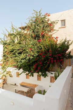Paros, Greece