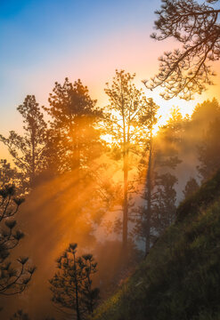 Glorious sun rise