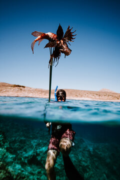 split view of diver raising lionfish above water