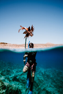 freediver holding lionfish on spear at water surface