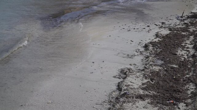 Sea waves softly lap the dark remnants of seaweed on the sandy beach.