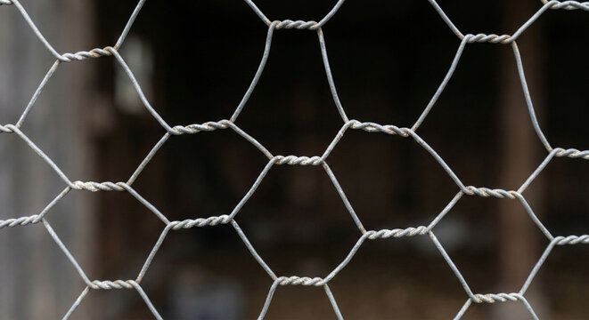 Twisted Hexagonal Links of Galvanized Chicken Wire Mesh
