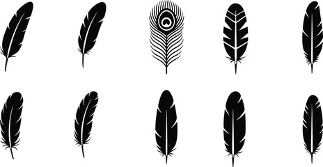 A collection of various bird feather silhouettes including a peacock feather on a white background. © Simu Store