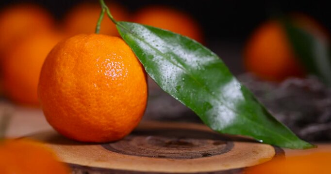 wet orange small tangerines with green leaves on a wooden board and crumpled yellow paper, a group of ripe sweet tangerines with green leaves covered with drops of clear water
