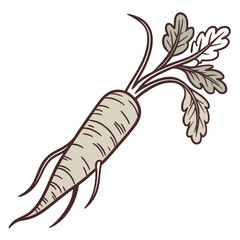 burdock root long brown root vegetable