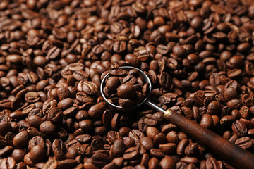 Coffee beans and scoop as background, closeup