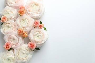 Obraz premium Beautiful ranunculuses and roses on white background, flat lay. Space for text