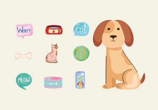 Cartoon Pet Illustration Set