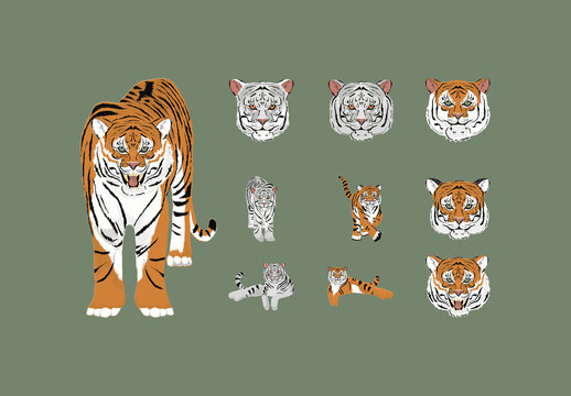 Realistic Tiger Wildlife Illustration Set