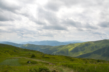 Peaceful panoramic mountain landscape showing green ridges, forested valleys and dramatic white clouds under a blue sky, evoking tranquility, adventure and natural beauty for travel and outdoor themes © Dmytro