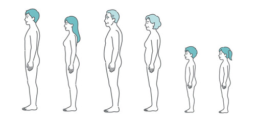 全世代の人体図・全身モデルのイラストセット（側面・横向き）