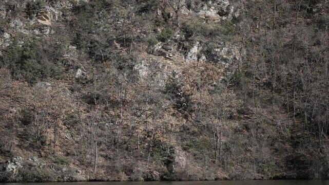 Flock of duck birds fly over the lake, slow motion