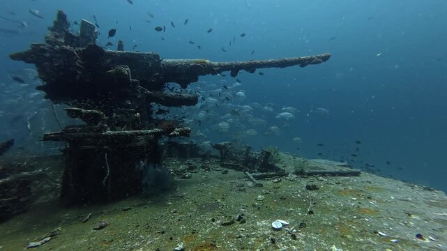 2026.03.01 big group of fish at HTMS Prab, Chumphon, Thailand