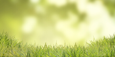 Fototapeta premium Vibrant grass against blurred green background. Banner design