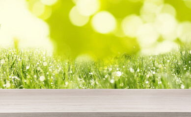Fototapeta premium Vibrant grass with dew and wooden surface against blurred green background. Banner design