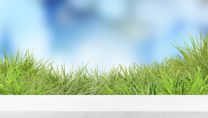 Fototapeta premium Bright green grass and wooden surface against blurred blue background. Banner design