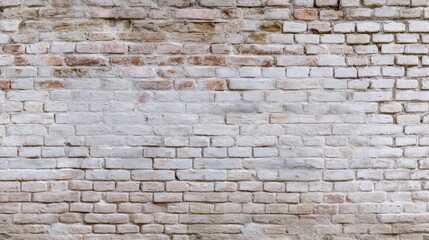 Fototapeta premium Textured White Brick Wall Background with Subtle Variations of Color and Character for Design and Art Purposes