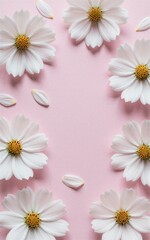 Obraz premium White daisies frame a soft pink background petals scattered gently.