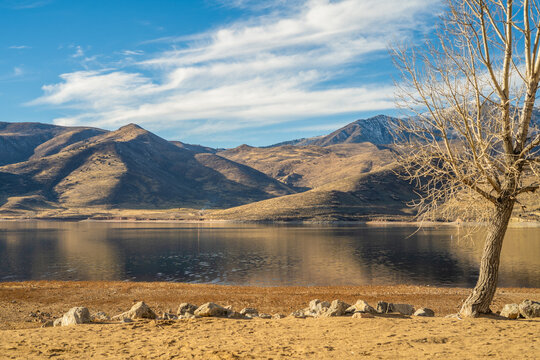 mountain lake with calm reflective water, rolling hills and a bare tree in the foreground under a blue sky with light clouds