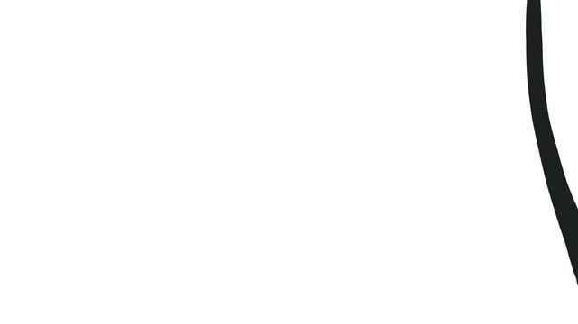 A large strip with a squiggle or a flourish moves or passes by on the screen.