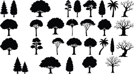 Collection of diverse tree silhouettes featuring pine, palm, and deciduous species, flat vector icons for landscape design, nature environment, and forestry © Hanifer