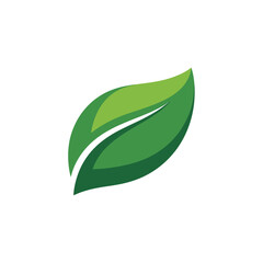 Obraz premium A vibrant green leaf is depicted on a clean white background.