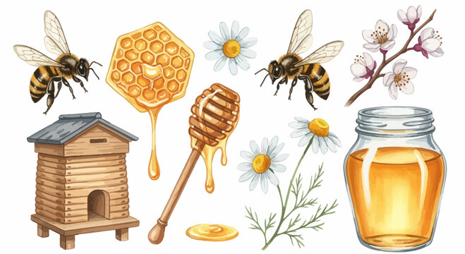 Watercolor bee hive illustration featuring honey bees flowers and honey dipper