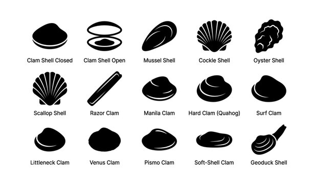 Collection of various clam and shell types illustrations