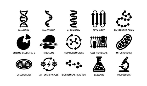 Scientific biology icons: dna, rna, cell membrane, mitochondria, microscope