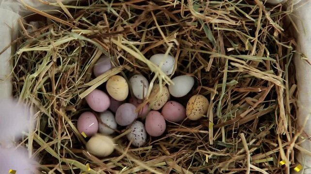 Pink fuzz entering, speckled pastel eggs appearing, clumping, confetti falling, straw nest filling