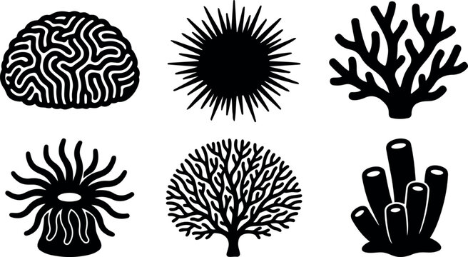 Flat design silhouette coral icons six marine shapes brain coral sea urchin branching coral sea anemone sea fan tube sponge