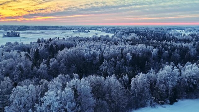 Aerial view of forest powdered, fresh snow layer over Latvian countryside - divine sunset