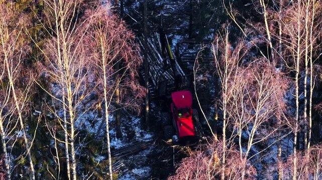 Forestry machine operating in winter forest, harvesting wood and managing resources