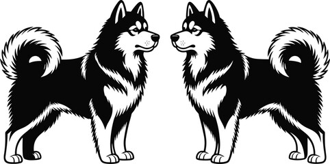 Siberian Husky dog pair vector illustration, black and white symmetrical canine design, detailed fluffy coat mascot logo isolated on white background © MdMamunur